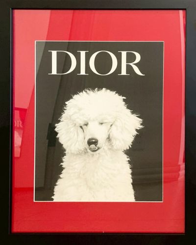 アートパネル POODLE